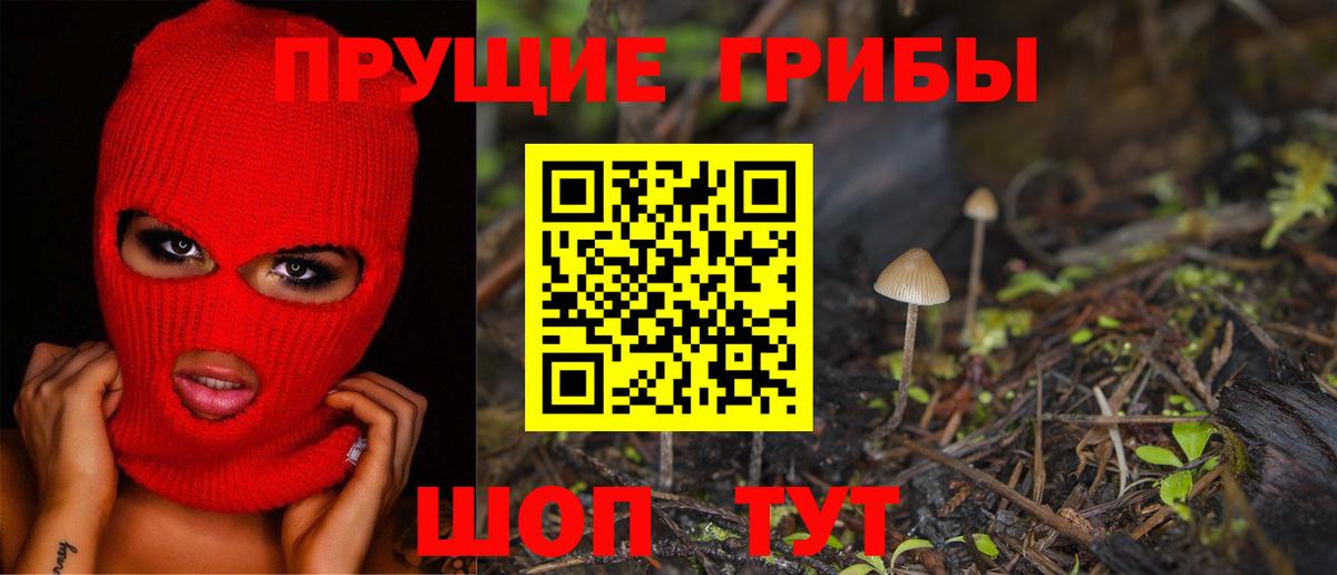 Галлюциногенные грибы MAGIC MUSHROOMS  Вход с VPN  Можга 