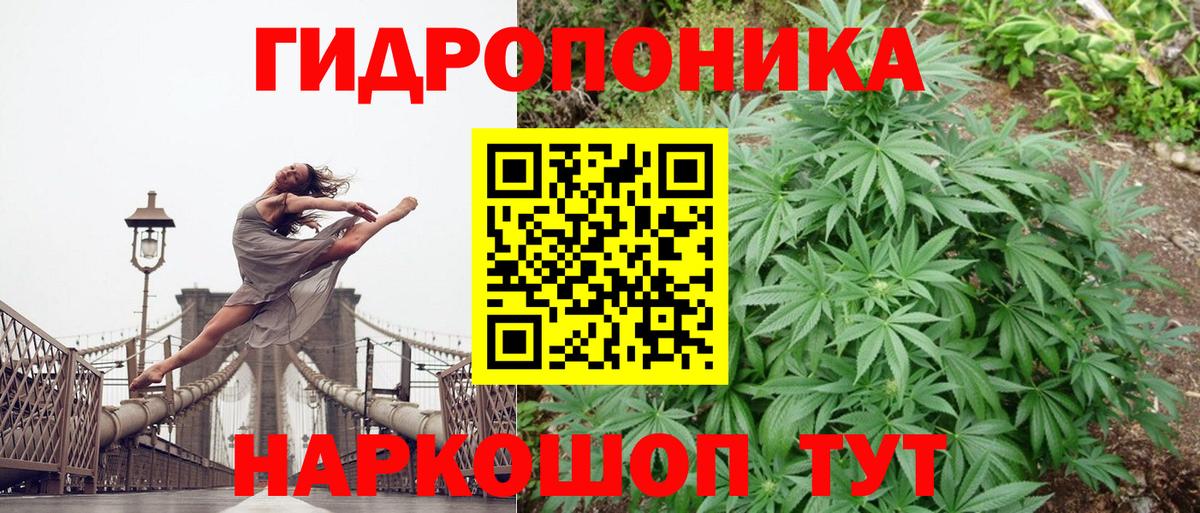 Канабис OG Kush  Вход с VPN  Можга  Канабис White Widow 